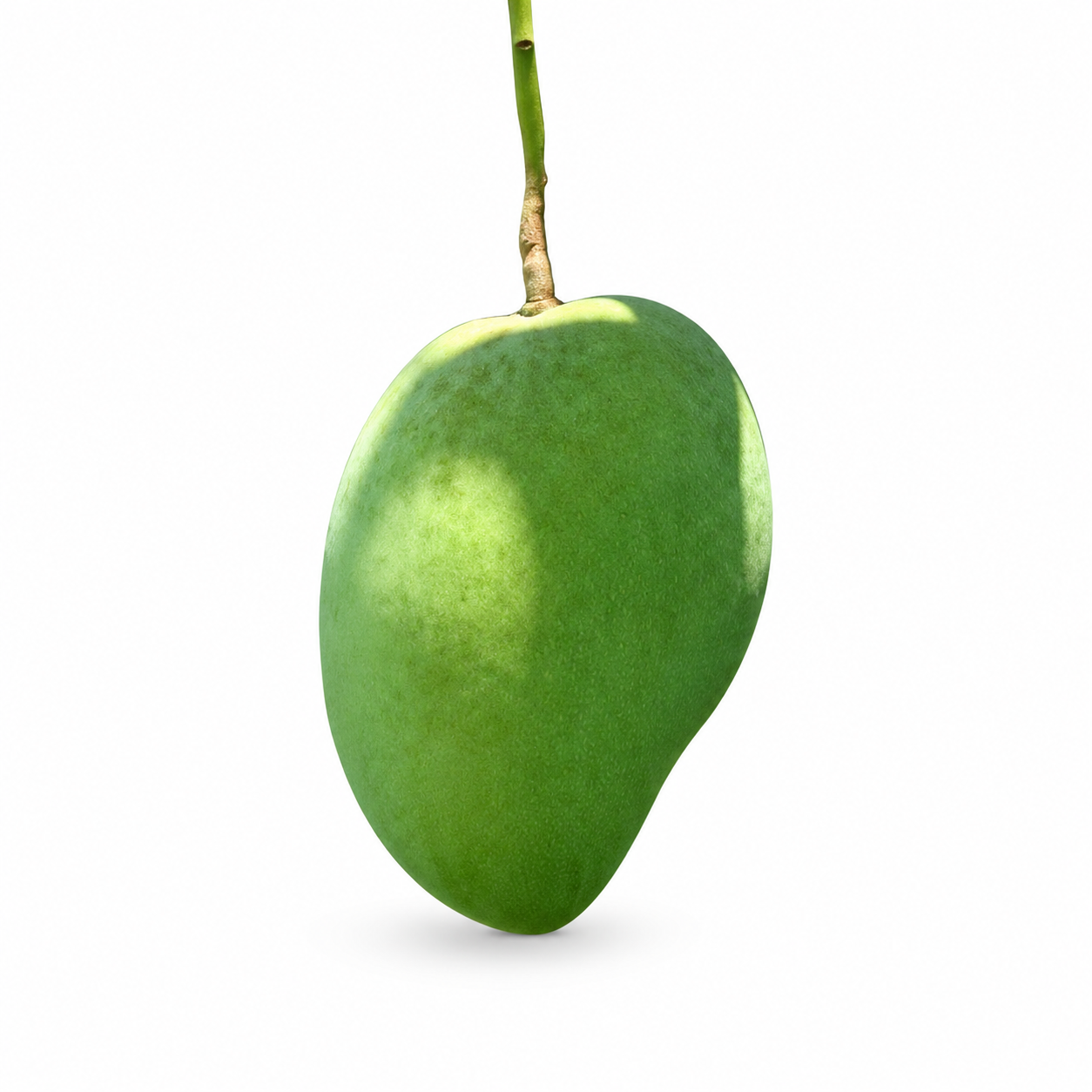Buy Bangladeshi Mango online in the UK - Fruits And Vegetable | Fruits from Al Haayaat