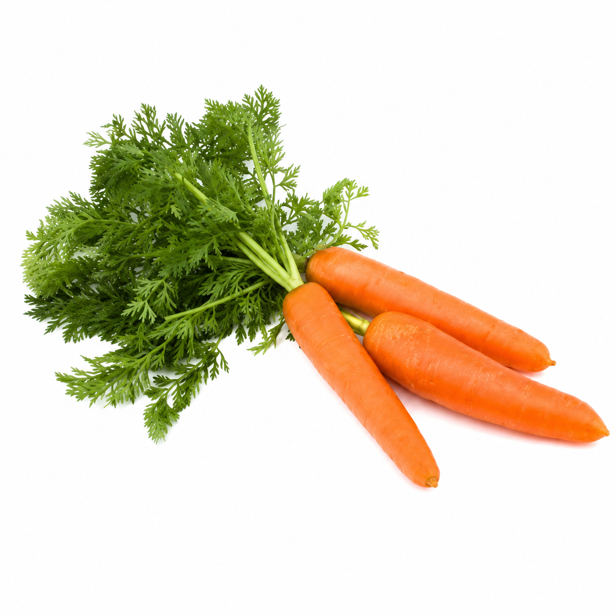 Buy Carot online in the UK - veg | English Vegetables from Al Haayaat