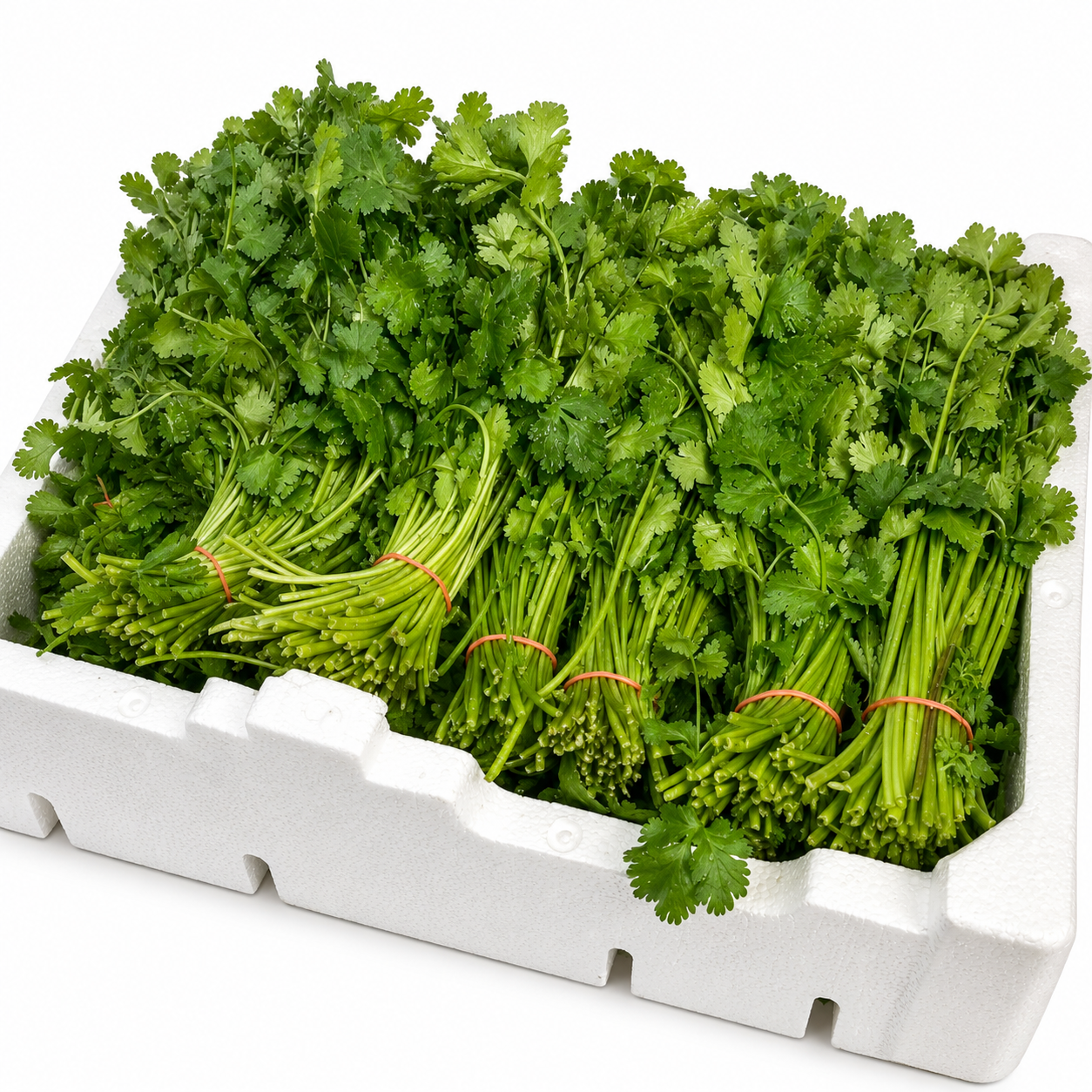 Buy Fresh Coriander Box online in the UK - veg | BOX Vegetables from Al Haayaat