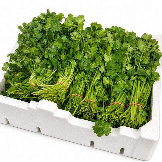 Buy Fresh Coriander Box online in the UK - veg | BOX Vegetables from Al Haayaat