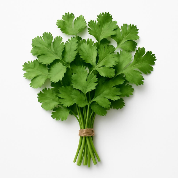 Fresh Coriander Piece