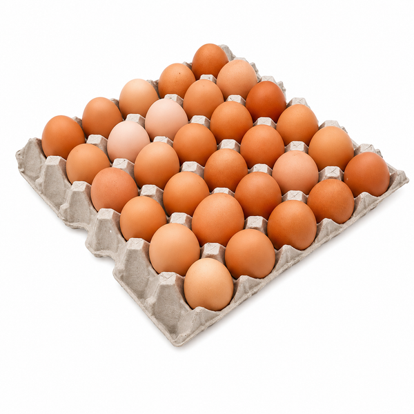 Egg 30s Medium (Loose) 1x6