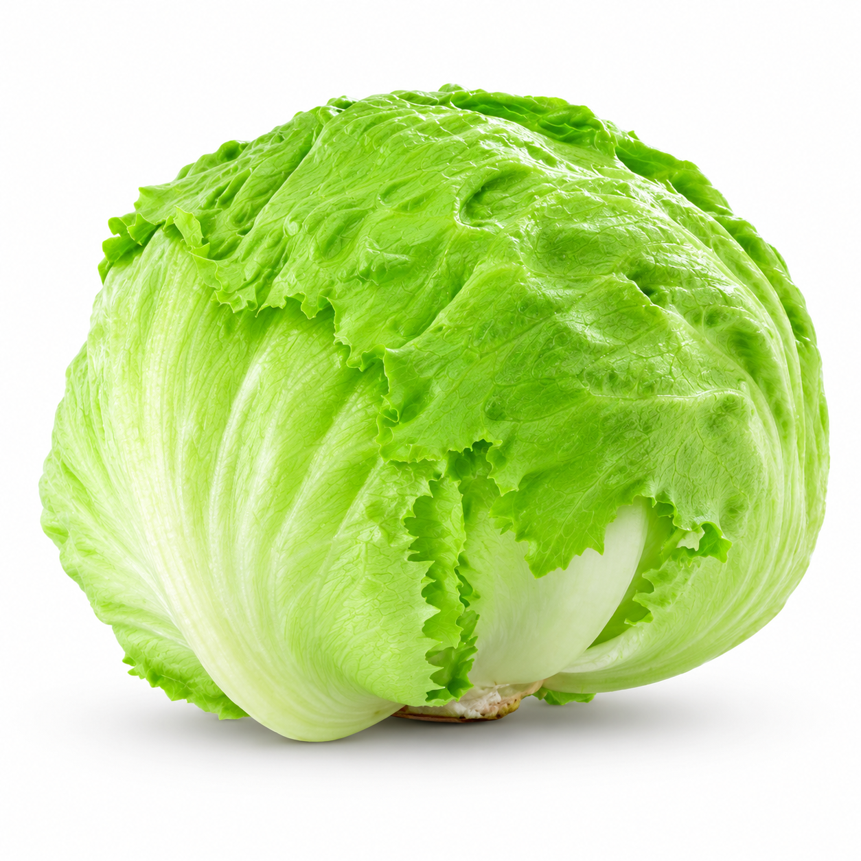 Buy Iceburge Pcs online in the UK - veg | BOX Vegetables from Al Haayaat
