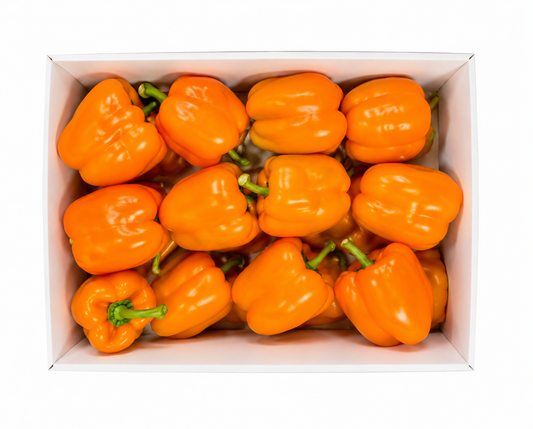 Orange Pepper