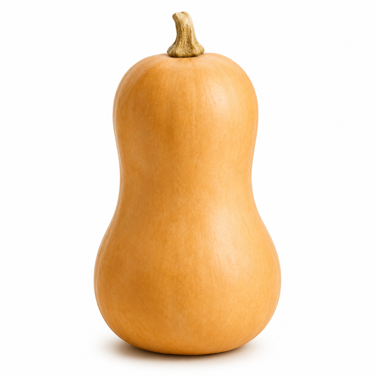 Buy Pumpkin online in the UK - bangla | bangladeshi vegetables from Al Haayaat