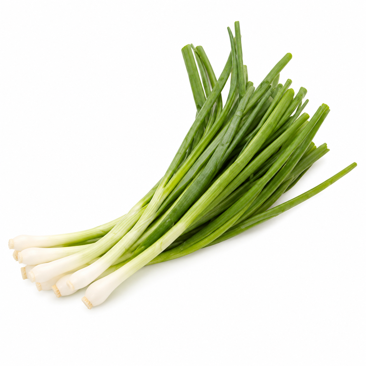 Buy Spring Onion online in the UK - veg | BOX Vegetables from Al Haayaat