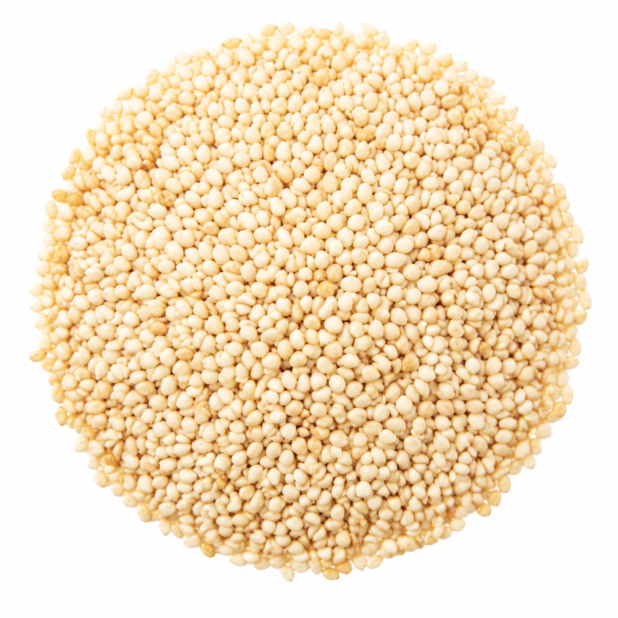 Buy Tal Seeds online in the UK | Spices from Al Haayaat