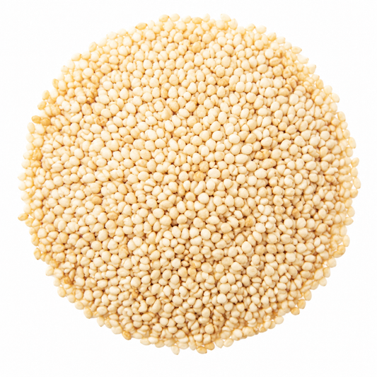 Tal Seeds