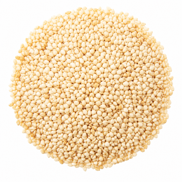 Tal Seeds