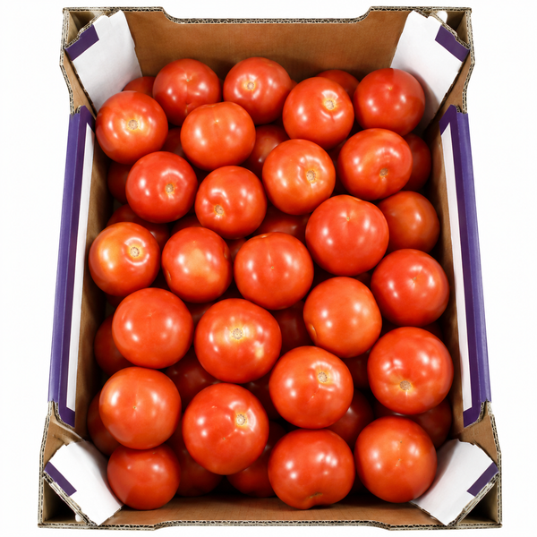 Tomato Box