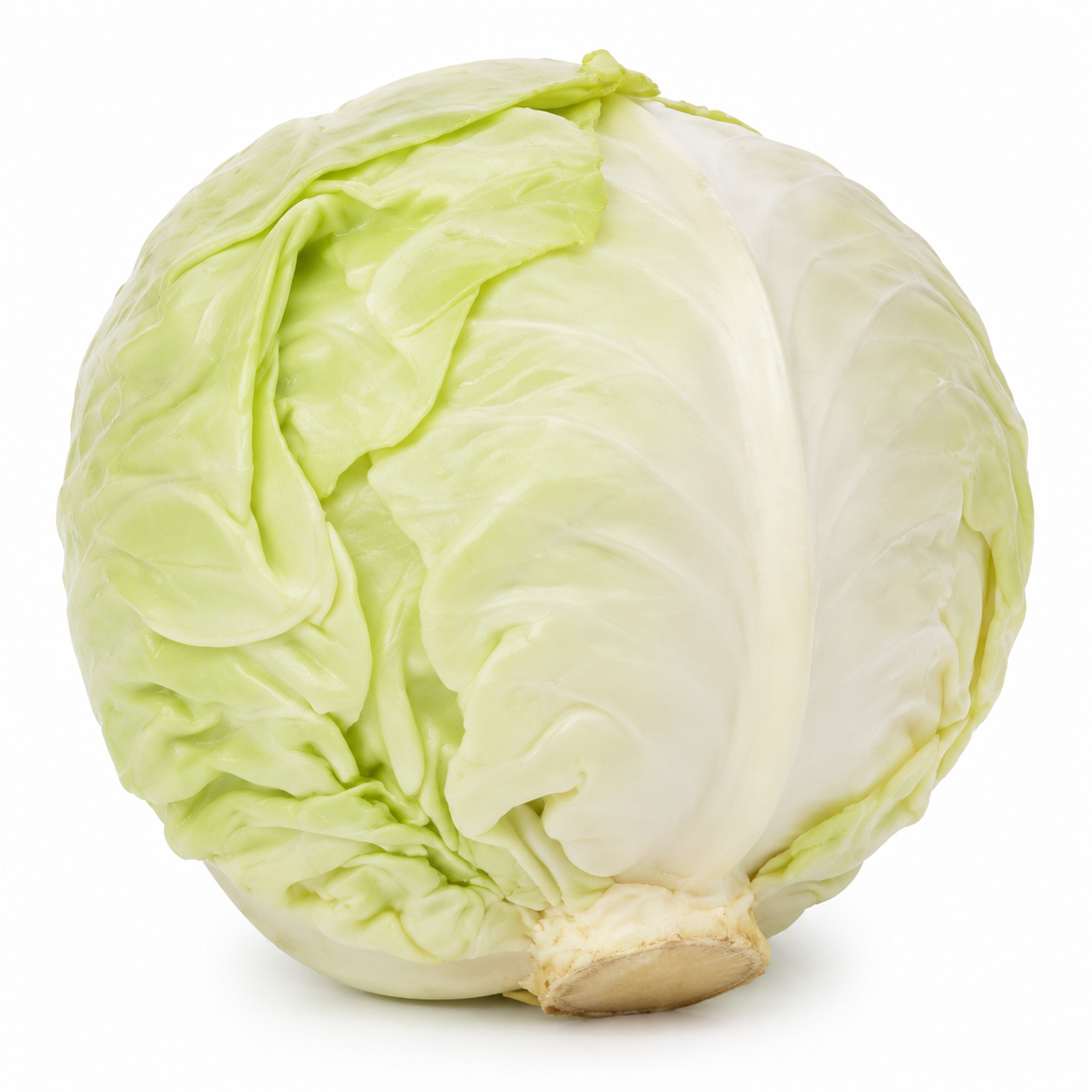 Buy White Cabbage Box online in the UK - veg | BOX Vegetables from Al Haayaat