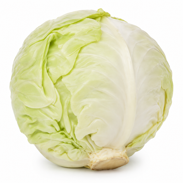 White Cabbage Box